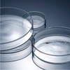 Venda por atacado descartável laboratório estéril plástico placa de petri