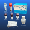 SARS-COV-2 Neutralizante Antibody Elisa Kit