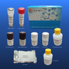 Novo Coronavírus Covid-19 IgG Elisa Ensay Kit